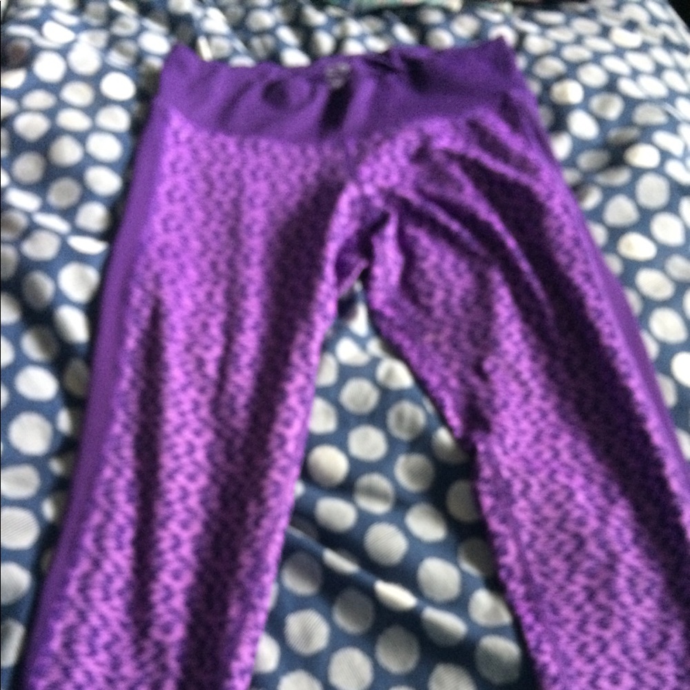 Champion crops size med